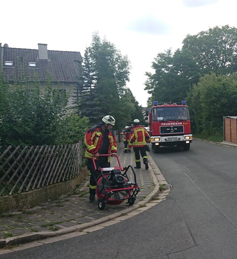 DSC_0273 zugeschnitten groß.jpg